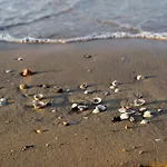 Lovely Flat Close To The Beach-beahost Apartment Bibione
